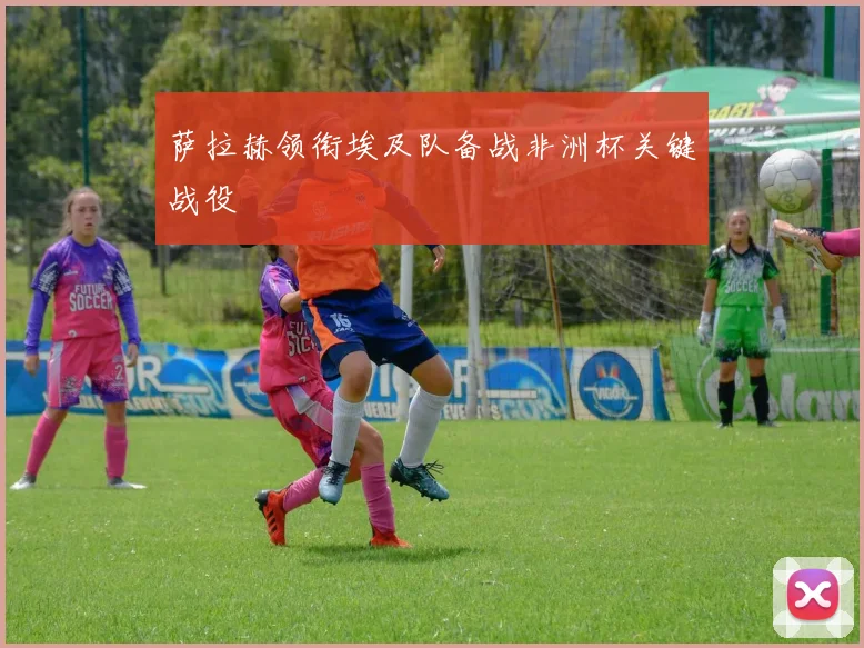 萨拉赫领衔埃及队备战非洲杯关键战役