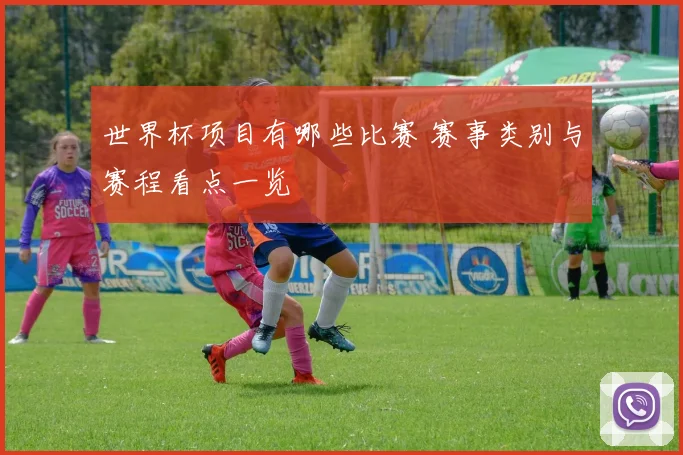 世界杯项目有哪些比赛 赛事类别与赛程看点一览
