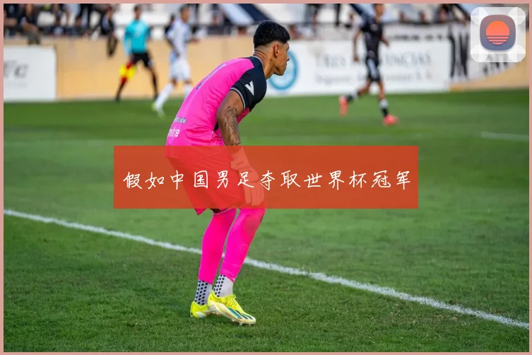 假如中国男足夺取世界杯冠军
