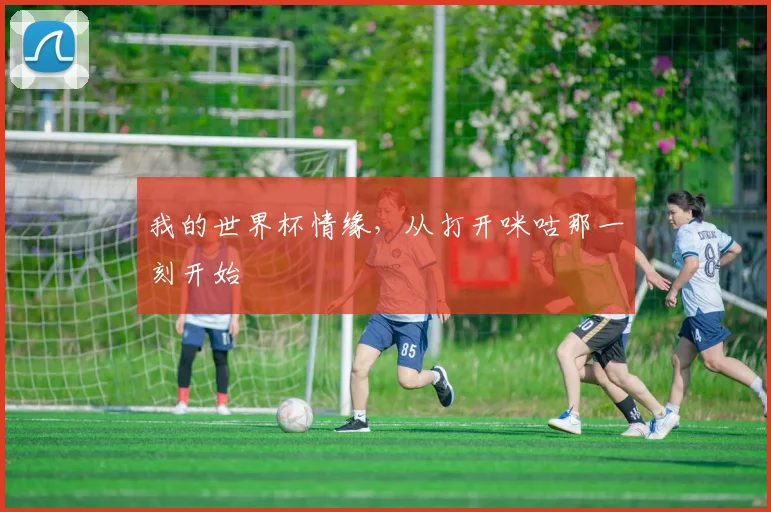 我的世界杯情缘,从打开咪咕那一刻开始