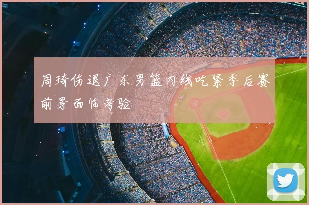 周琦伤退广东男篮内线吃紧季后赛前景面临考验