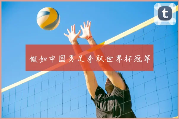 假如中国男足夺取世界杯冠军