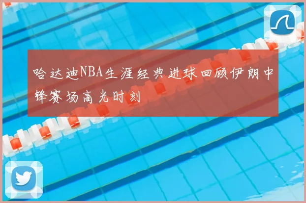 哈达迪NBA生涯经典进球回顾伊朗中锋赛场高光时刻