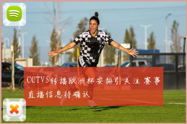 CCTV5转播欧洲杯安排引关注 赛事直播信息待确认